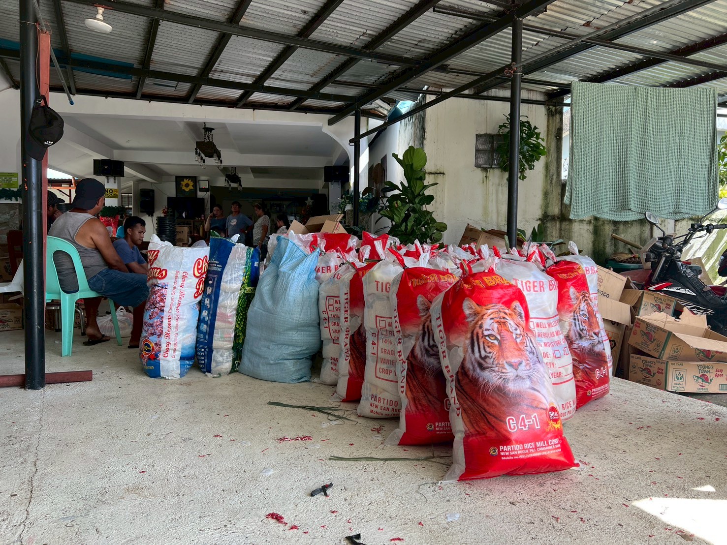 活動に関する写真