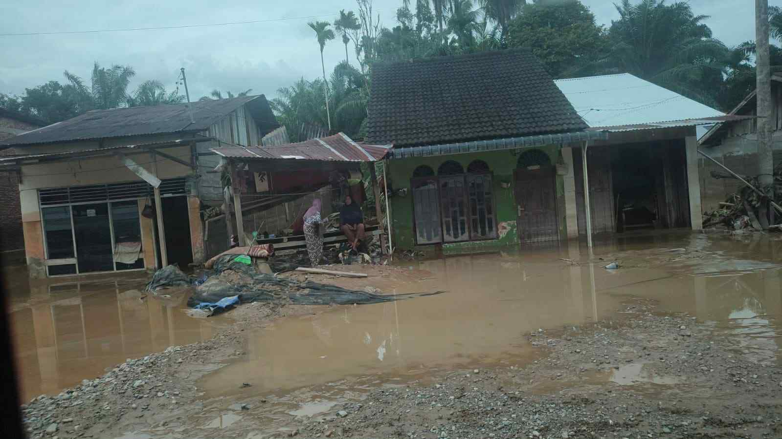 活動に関する写真