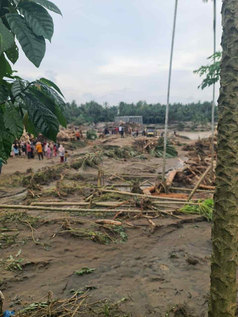 活動に関する写真