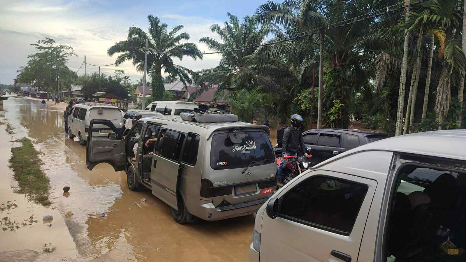 活動に関する写真